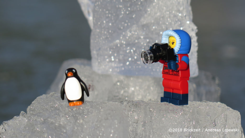 Bricks on Ice - Forscherin mit Kamera und Pinguin 1 | ©2018 Brickzeit