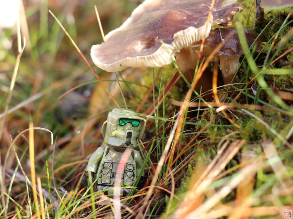 LEGO Clone Scout Trooper unter einem Pilz | ©2019 Brickzeit