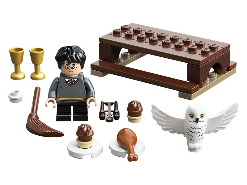 LEGO 30420 Harry Potter und Hedwig Polybag | ©LEGO Gruppe