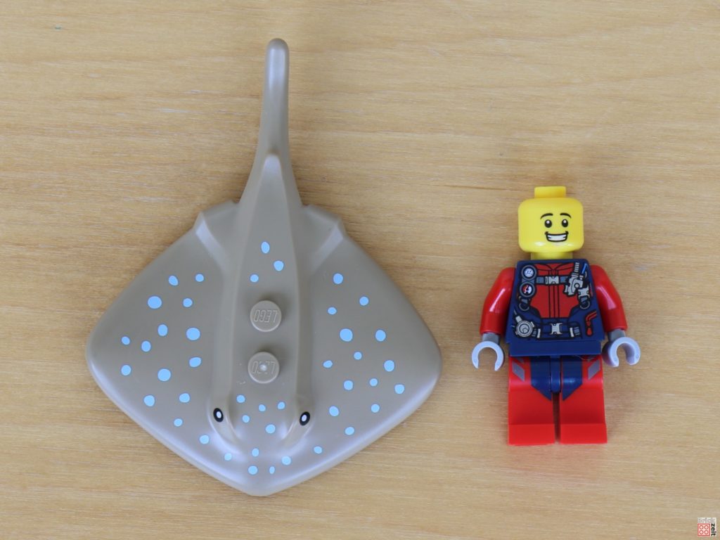 Größenvergleich LEGO Rochen und Minifigur | ©Brickzeit