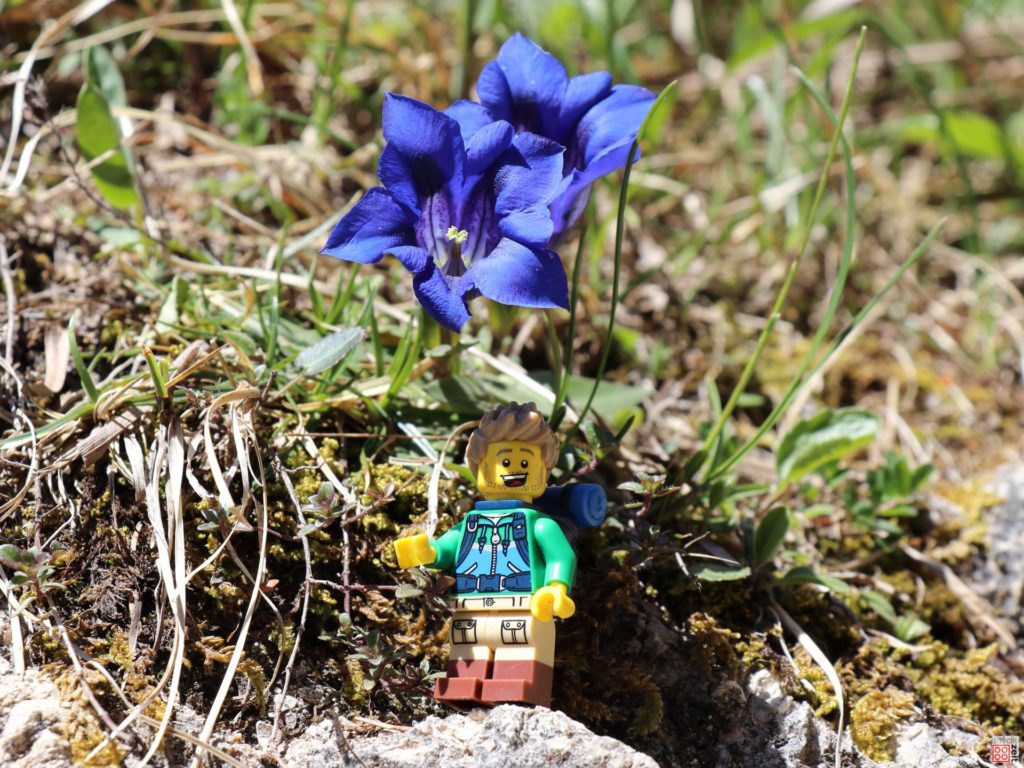 LEGO Wanderer unter Enzian | ©2020 Brickzeit