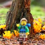 Pilze sammeln mit dem LEGO Wanderer ©| Brickzeit