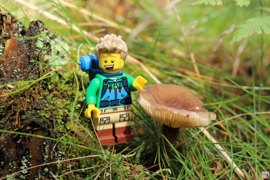 Pilz im Gras | ©Brickzeit