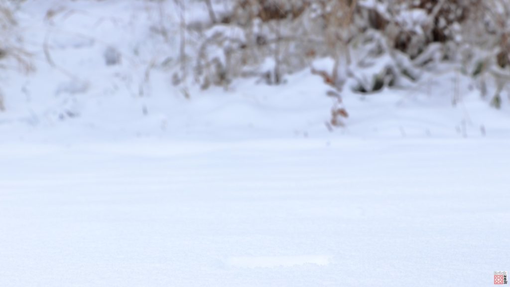 Hintergrund für den Snowspeeder | ©Brickzeit