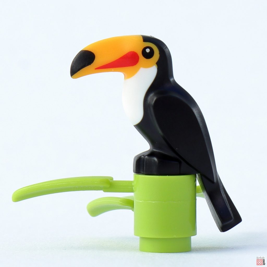 LEGO 71032, Minifigur 9, Vogelbeobachterin | ©Brickzeit