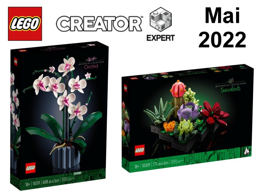 LEGO Creator Expert - Botanical Neuheiten Mai 2022