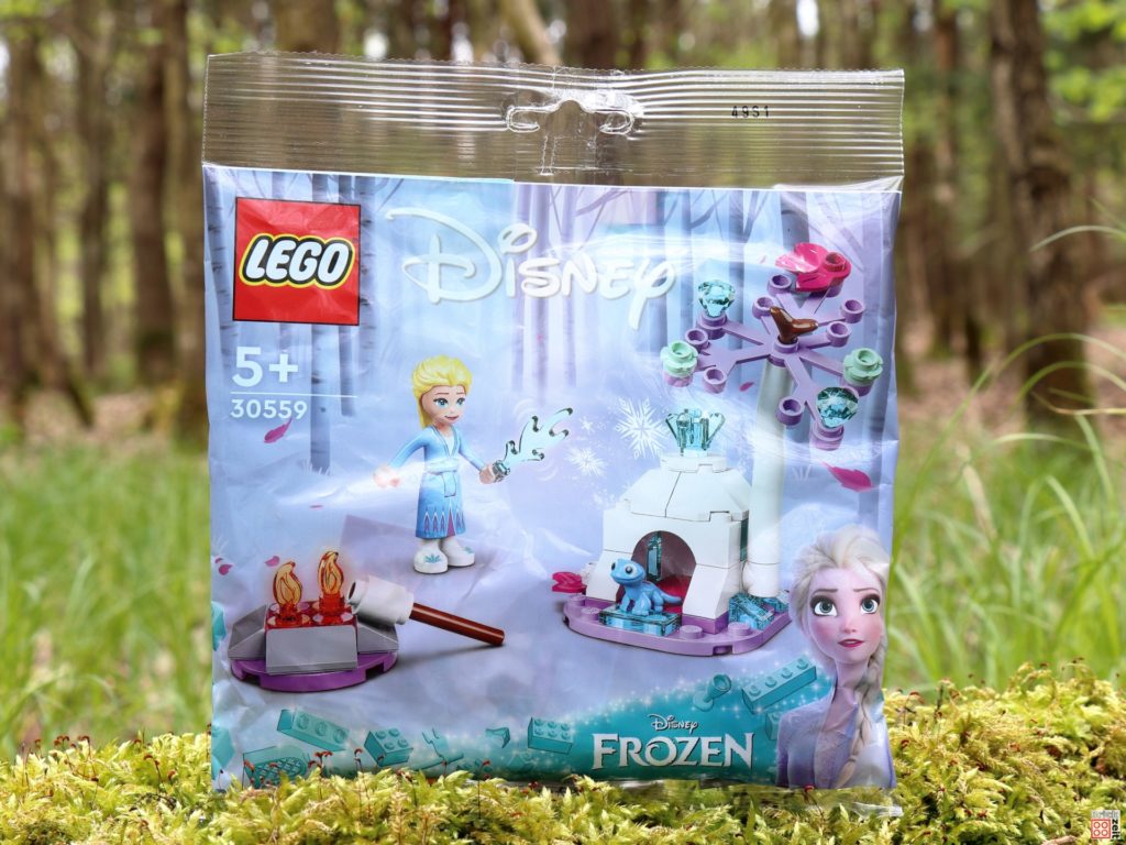 Polybag LEGO 30559 Elsas und Brunis Lager im Wald | ©Brickzeit