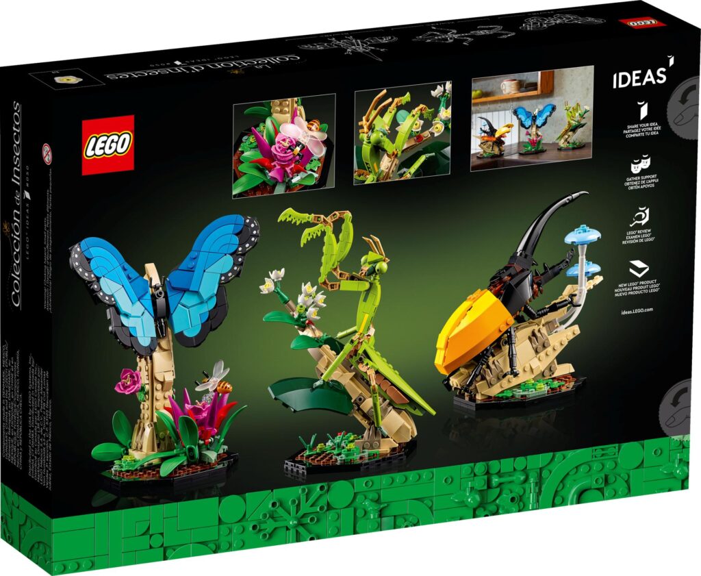 LEGO Ideas 21342 Die Insektensammlung | ©LEGO Gruppe