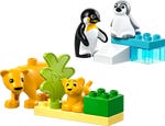 LEGO 10442 Wildtier-Familien: Pinguine und Löwen