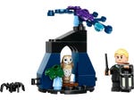 LEGO 30677 Draco im Verbotenen Wald™