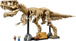 LEGO 76968 Dinosaurier-Fossilien: Tyrannosaurus rex